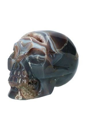 agaat geode schedel, agaat geode kristallen schedel, agate crystal skull, kopen, schadel