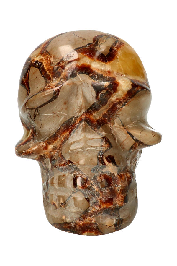 Septarie kristallen schedel, 12.5 cm, 1.85 kg