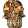 Septarie kristallen schedel crystal skull