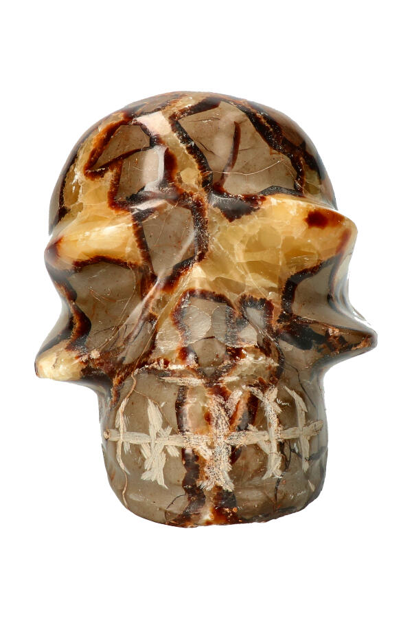 Septarie kristallen schedel, 13.1 cm, 1.79 KG