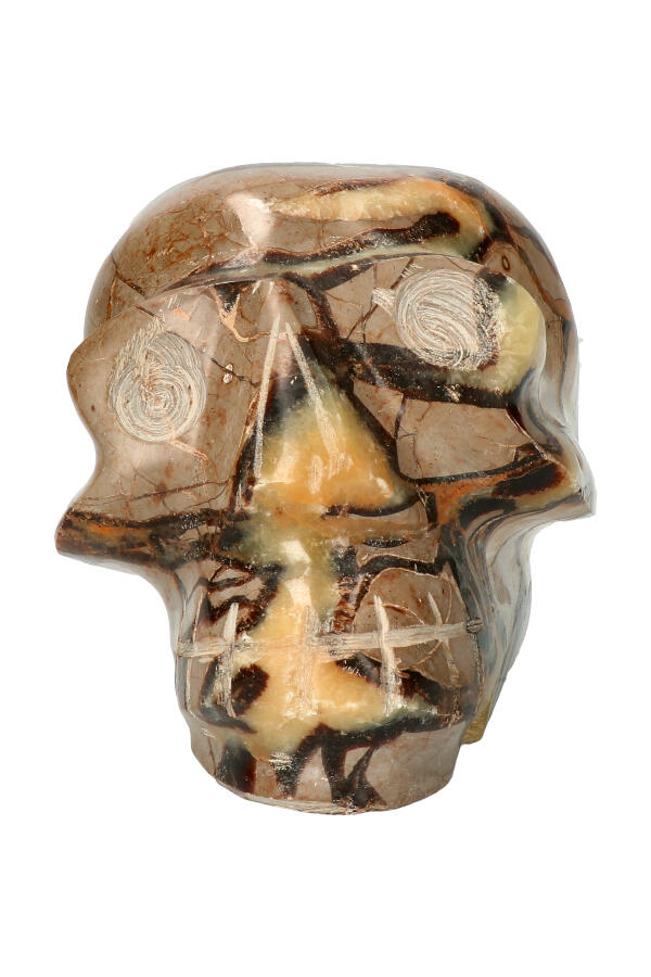 Septarie kristallen schedel, 14.4 cm, 2.09 KG