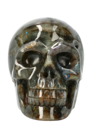 Labradoriet realistische kristallen schedel 12.5 cm 1.4 kg