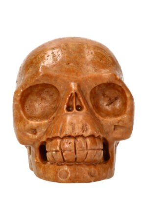 Versteend hout realistische kristallen schedel 10.5 cm 876 gram