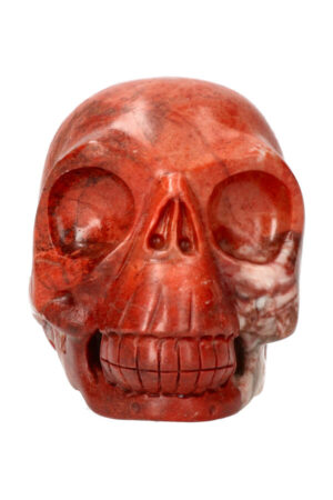 Versteend hout realistische kristallen schedel 10.5 cm 894 gram