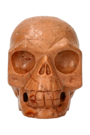 Versteend hout realistische kristallen schedel 8 cm 400 gram