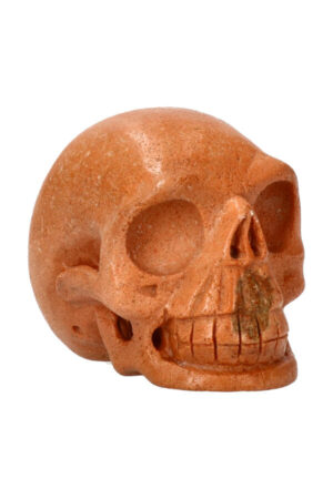 Versteend hout realistische kristallen schedel 8 cm 362 gram