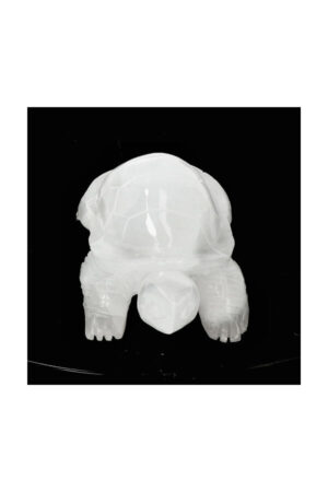 Seleniet schildpad 12.2 cm 237 gram