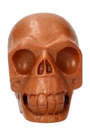 Versteend hout realistische kristallen schedel 7.8 cm 343 gram