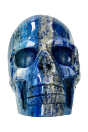 Lapis Lazuli realistische kristallen schedel 10.3 cm 602 gram