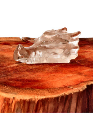 Bergkristal kristallen drakenschedel Top Carving 7 cm 65 gram