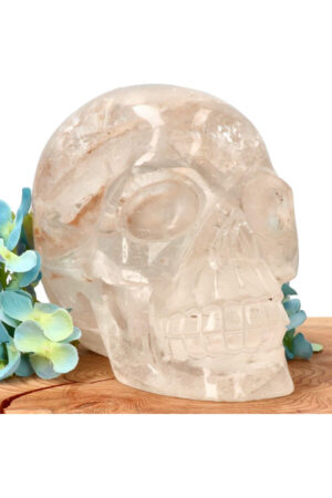 Bergkristal realistische kristallen schedel 15.8 cm 2.3 kg