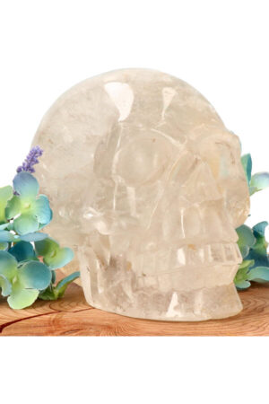 Bergkristal realistische kristallen schedel 13.1 cm 1.7 kg