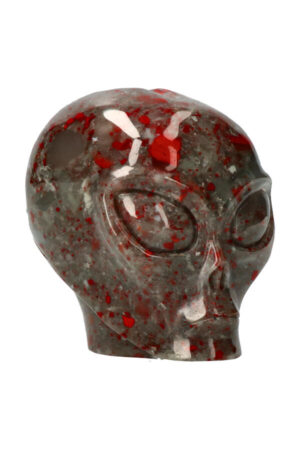 Bloedsteen starchild Alien kristallen schedel 9.5 cm 1.1 kg