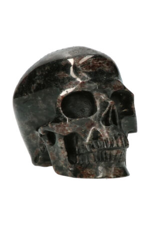 Astrofylliet super realistische kristallen schedel 12.5 cm 1.4 kg