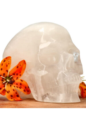 Azeztuliet super realistische kristallen schedel 12.5 cm 1.2 kg