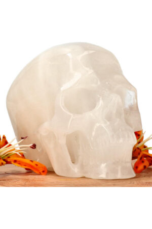 Azeztuliet super realistische kristallen schedel 12.5 cm 1.2 kg
