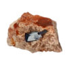 Azuriet gekristalliseerd Marokko 3.6 cm 19 gram