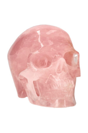 Rozenkwarts super realistische kristallen schedel 12.5 cm 1.3 kg