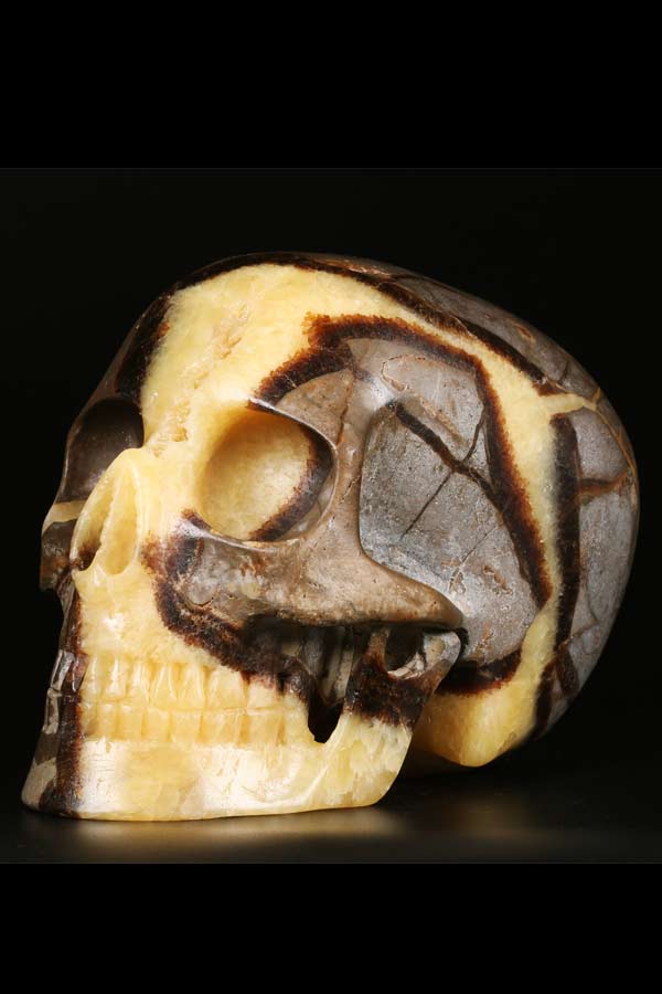Septarie super realistische kristallen schedel, 12.5 cm
