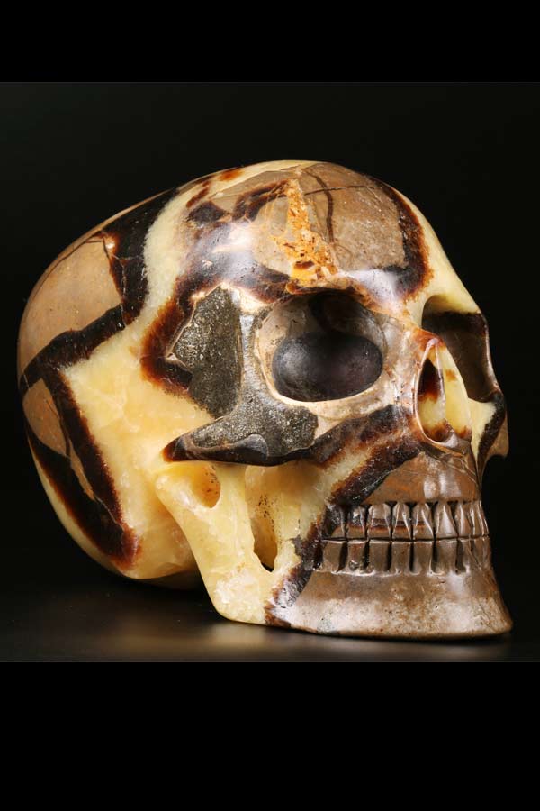 Septarie 'Mitchel Hedges' realistische kristallen schedel, 12.5 cm, 1.15 kg