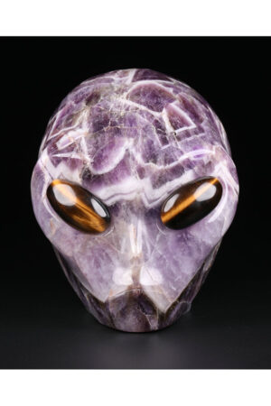 Chevron Amethist starchild Alien kristallen schedel 68