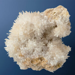 Hondentandcalciet, 1.49 kg, 15 cm
