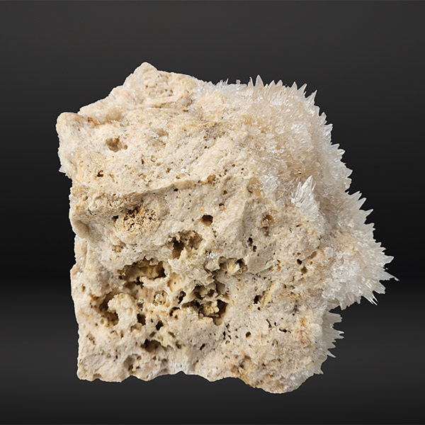 Hondentandcalciet, 1.49 kg, 15 cm