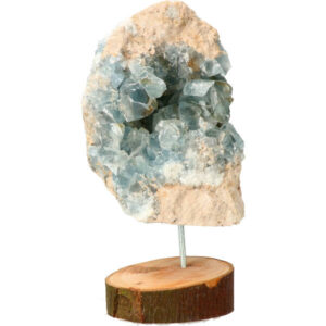 Celestien op stand van perenboom hout, 21 cm, 2.78 kg, Madagaskar