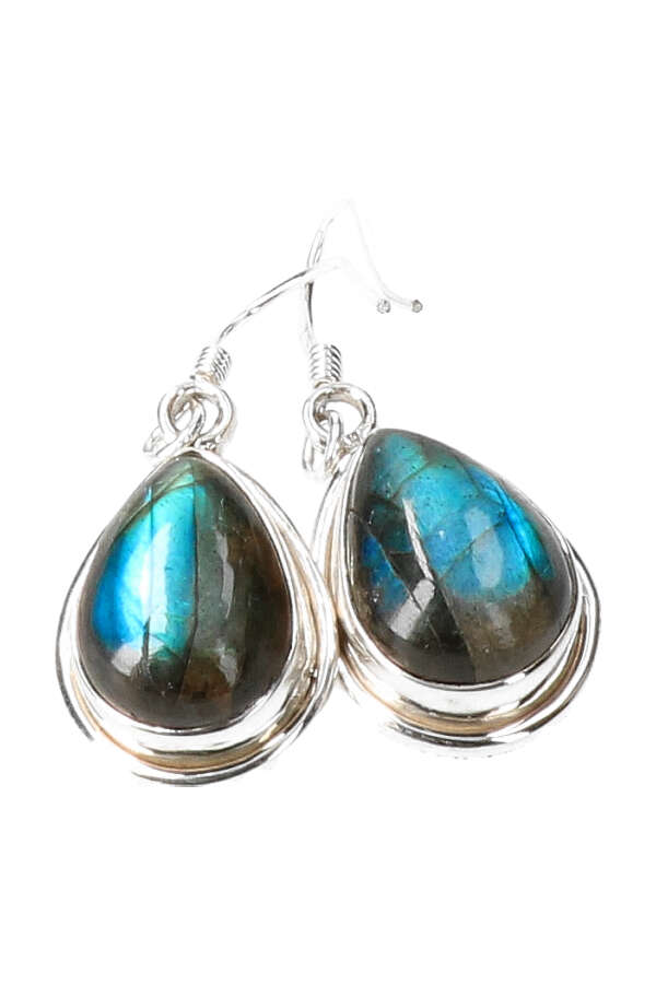 4835D-LABRADORIET-OORBELLEN_1