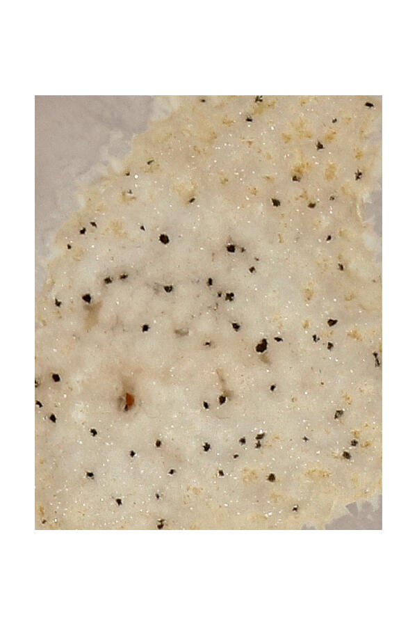 AGAAT-GEODE-PUNT-049_1