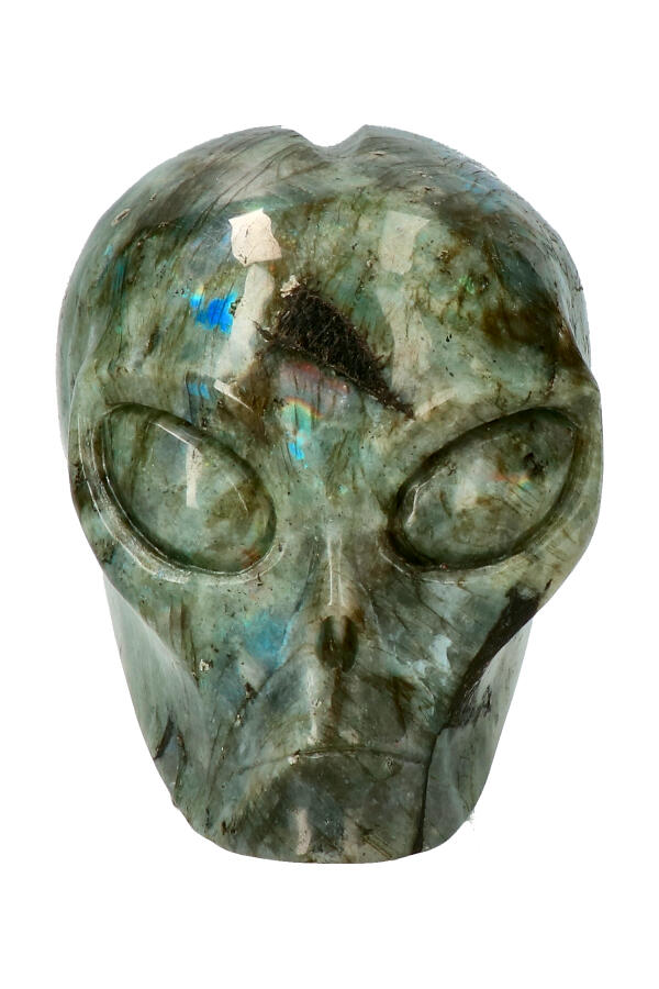 ALIEN-SKULL-LABRADORIET-020_1