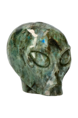 Labradoriet starchild Alien kristallen schedel, 9.5 cm, 1.1 kg