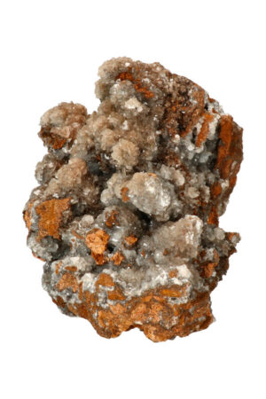 Bariet ruw brok, 23 cm, 2.1 kg