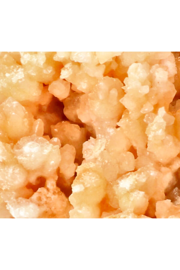 BLOEMKOOLCALCIET-028_2-geenmarge