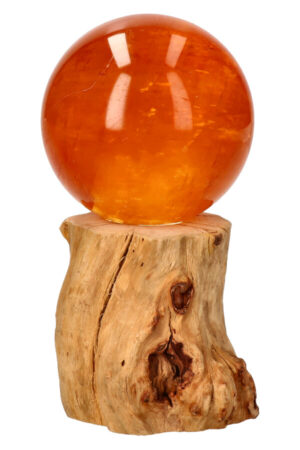 Bol houder boomstronkje