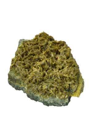 Forest Epidoot cluster, 14 cm, 717 gram