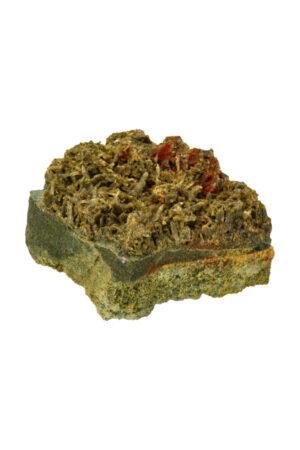 Forest Epidoot cluster, 16 cm, 1.5 kilo