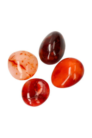 Carneool palm steen, diverse maten, Madagaskar