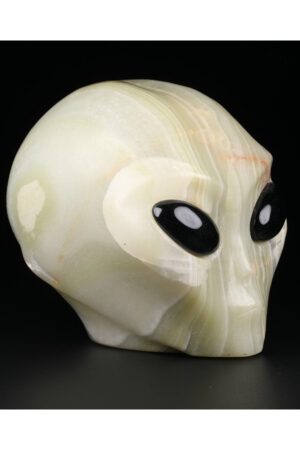Caribische Calciet starchild Alien kristallen schedel met Obsidiaan ogen, 9.5 cm, 1.1 kg