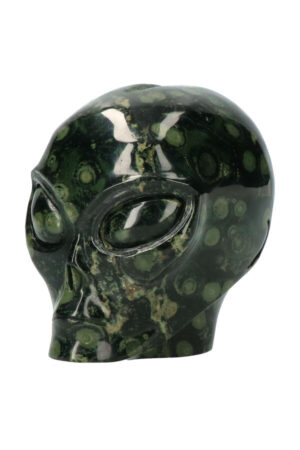 Eldariet starchild Alien kristallen schedel, 9.5 cm, 1.1 kg