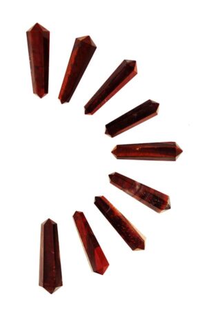 Rode Tijgeroog dubbelpunten, 4-5 cm, ideaal voor een grid