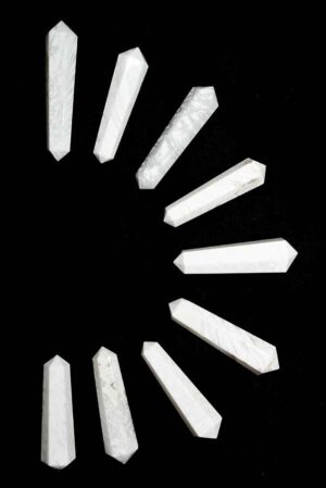 Scoleciet dubbelpunten, 4-5 cm, ideaal voor een grid