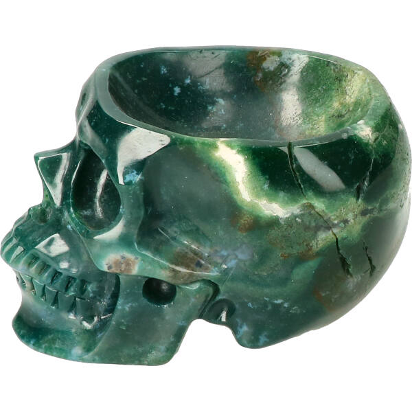 MOSAGAAT SKULL BAKJE 8 geenmarge