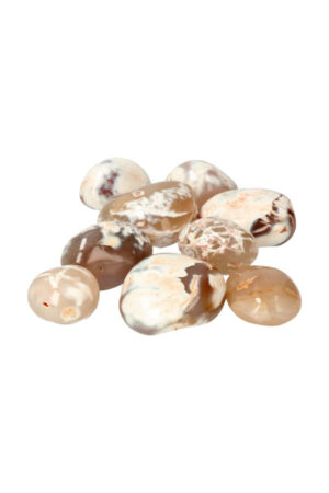 Pinguïn Agaat palm steen, diverse maten, Indonesië