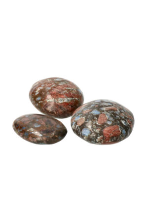 Que Sera palm steen, diverse maten, 5 tot 7 cm
