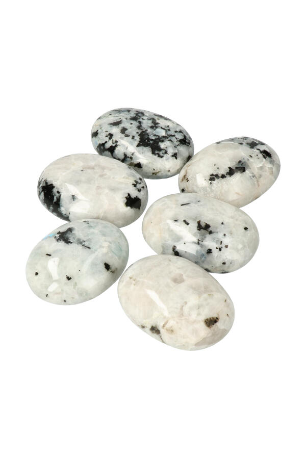 PALM-REGENBOOG-MAANSTEEN_1