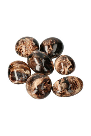 Zwarte Opaal palm steen, 5-7 cm, Madagaskar