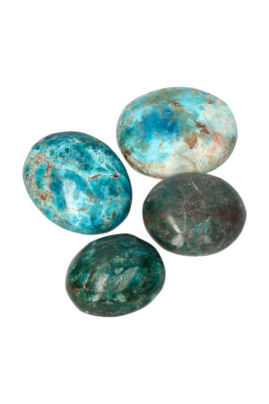 Apatiet grote palm steen, hand gepolijst, diverse maten, Madagaskar