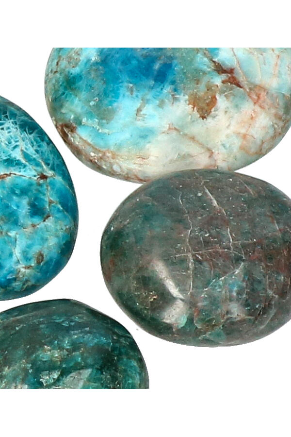 PALMSTEEN-APATIET_2-geenmarge