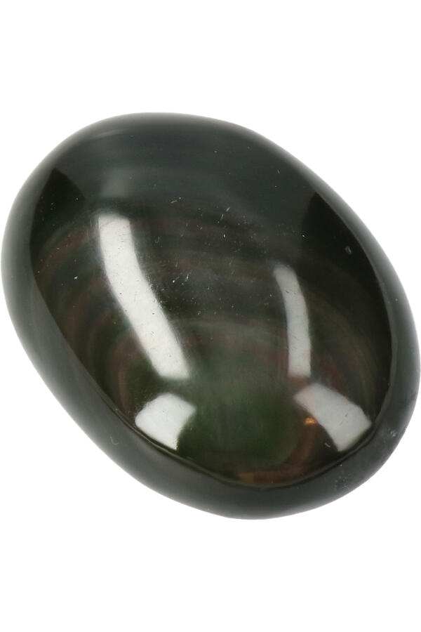 PALM_RGB_Obsidiaan_2-geenmarge